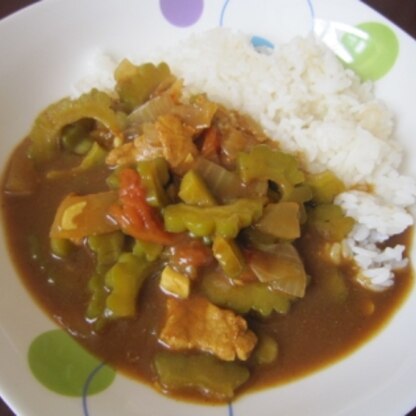 ゴーヤでカレーを作ったのは初めてですが、独特の風味がカレーとよく合いますね♪癖になるおいしさでした＾＾